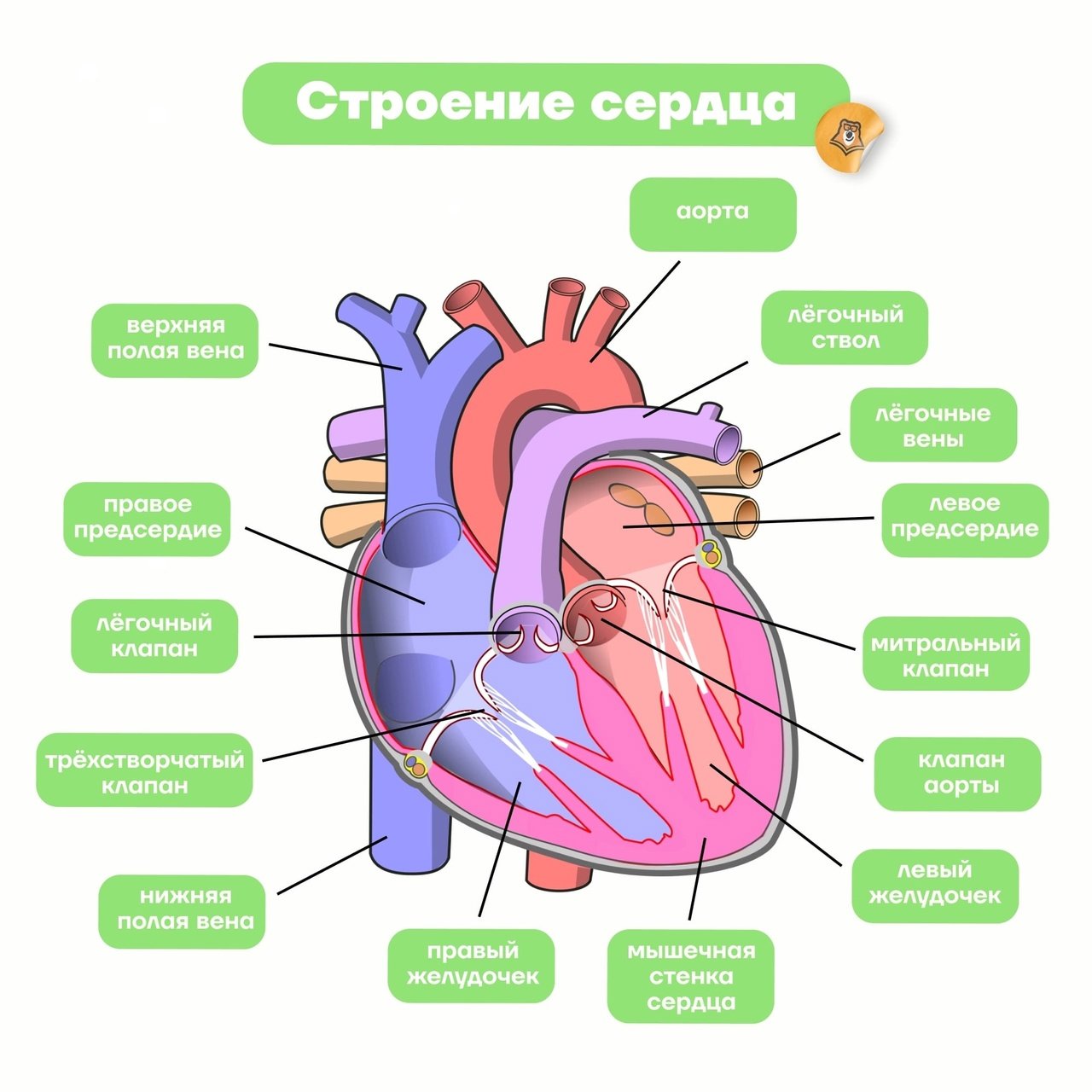 Картина на холсте интерьерная 100х60