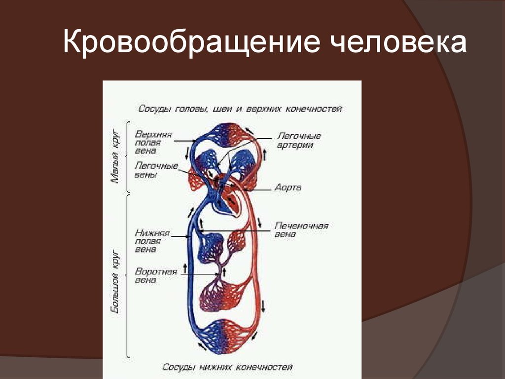 В красках» интервью с художником