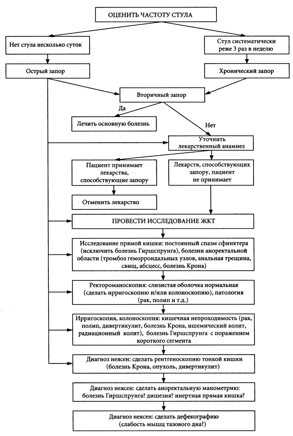 кишечника схема анатомии человека