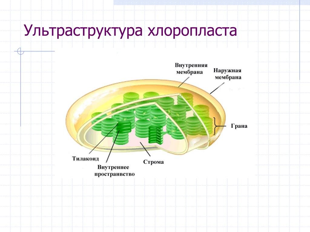 Министерство образования Республики Беларусь