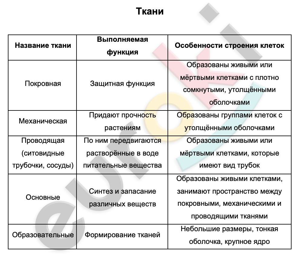 Строение клетки: митохондрии | самое простое объяснение