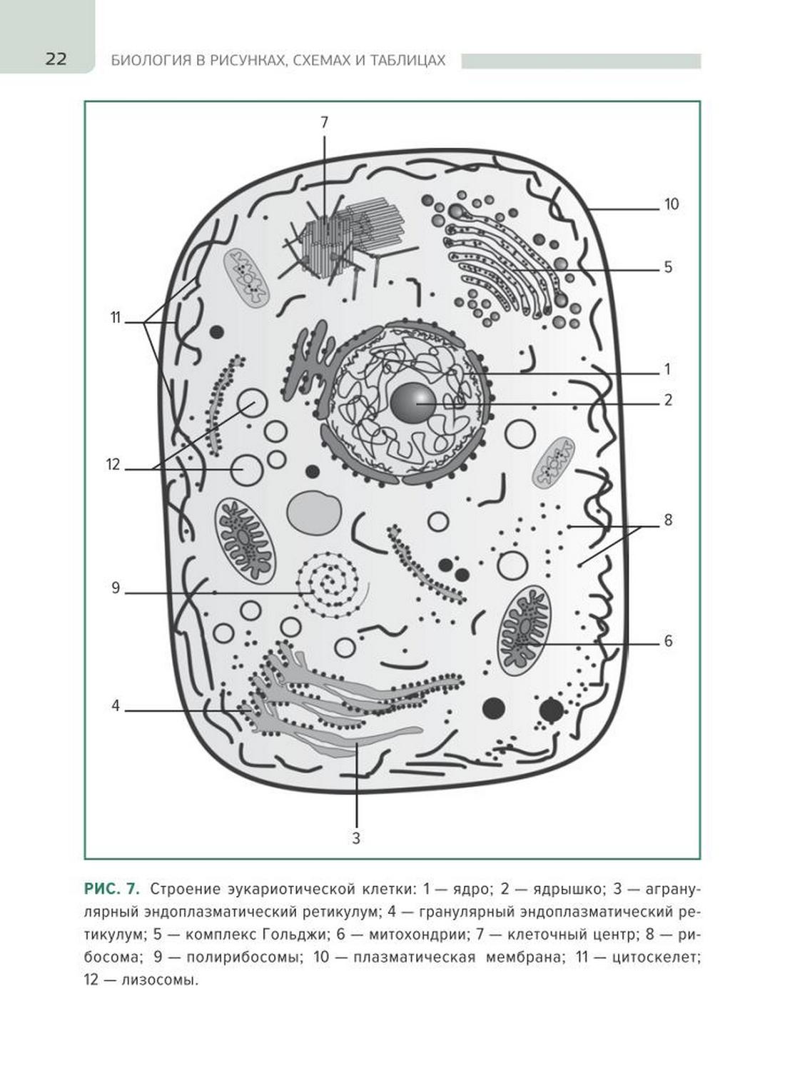 Омские школьники изучают основы