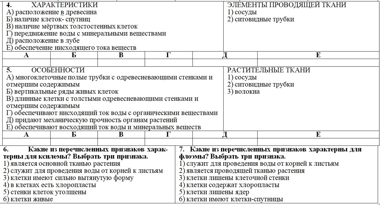 Растительные ткани | 