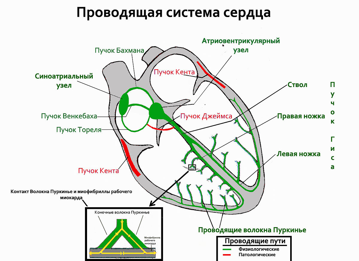 Научная конференция «Творческое