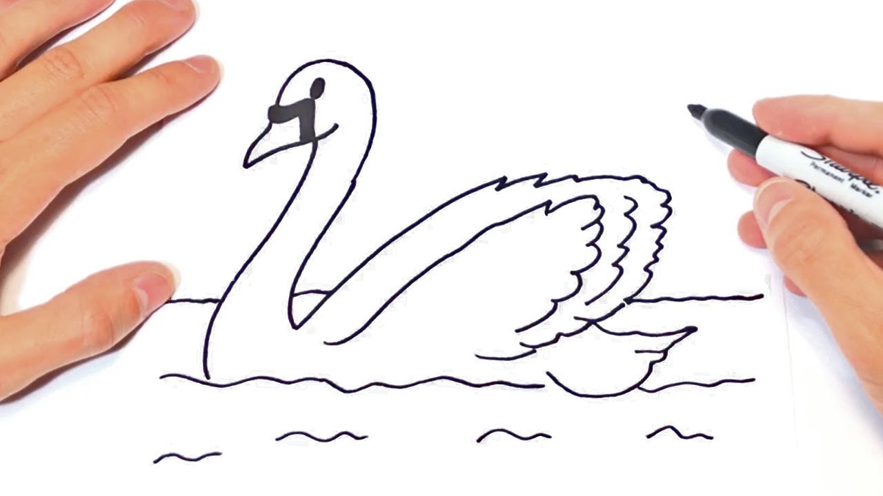 How to draw a LOVE SWAN, just draw