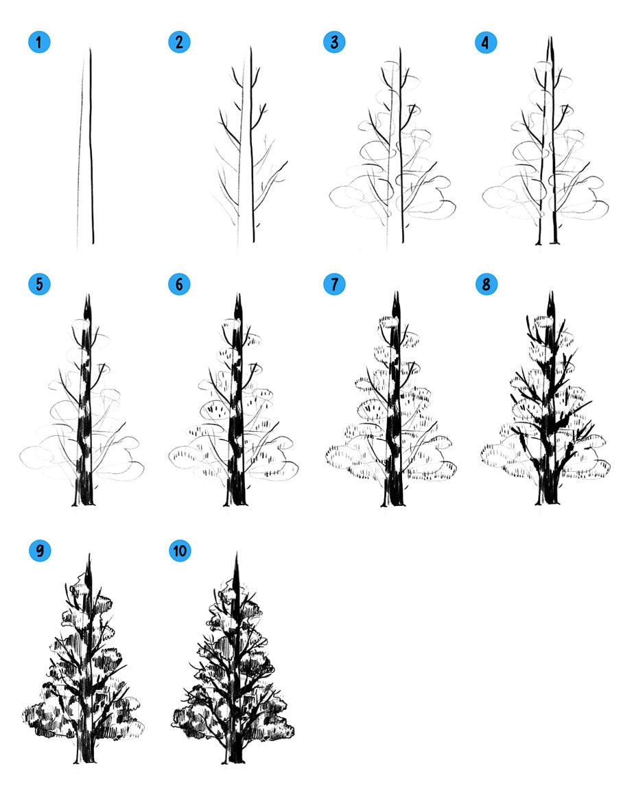 How to draw an Autumn