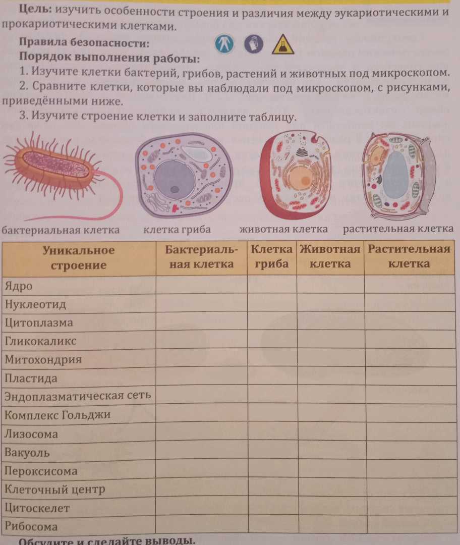 Бактерии. Большая российская энциклопедия