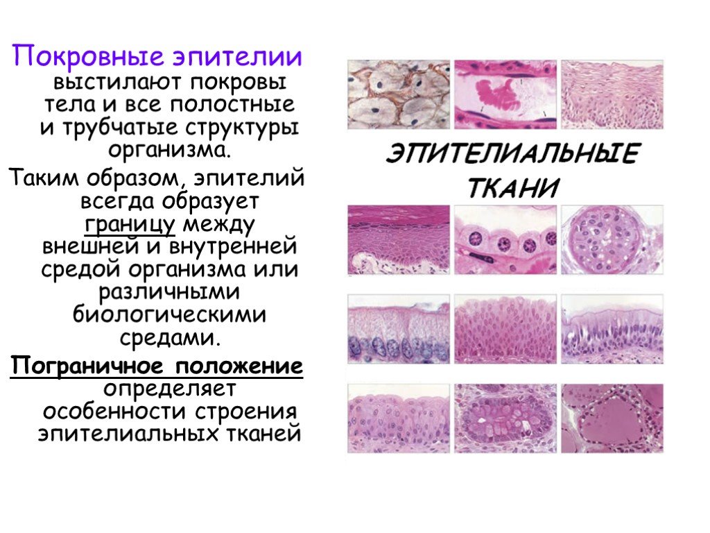 Книга Большое путешествие в страну