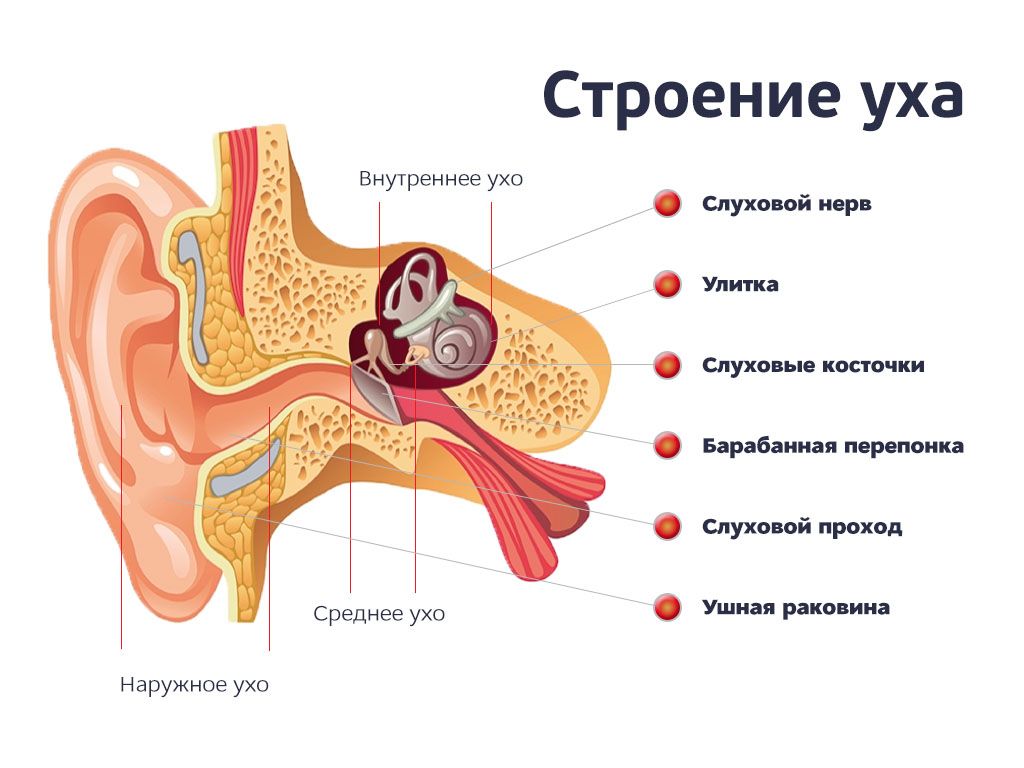 Причины, симптомы и лечение заболеваний ЛОР