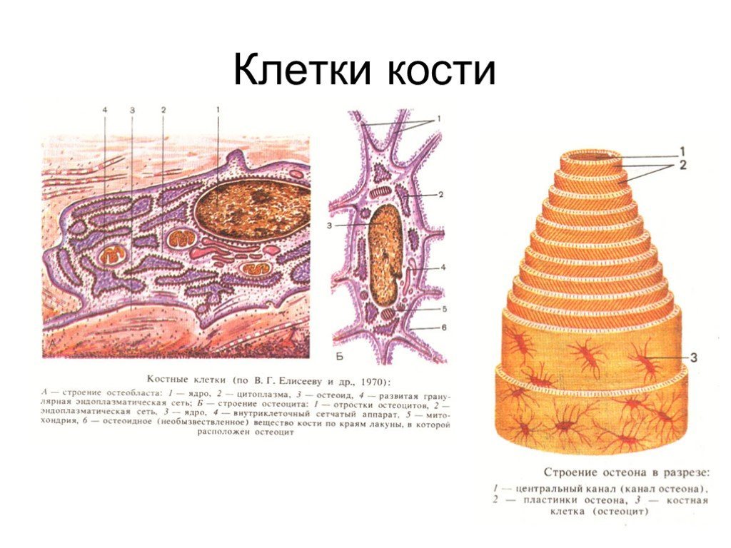 Методические рекомендации4