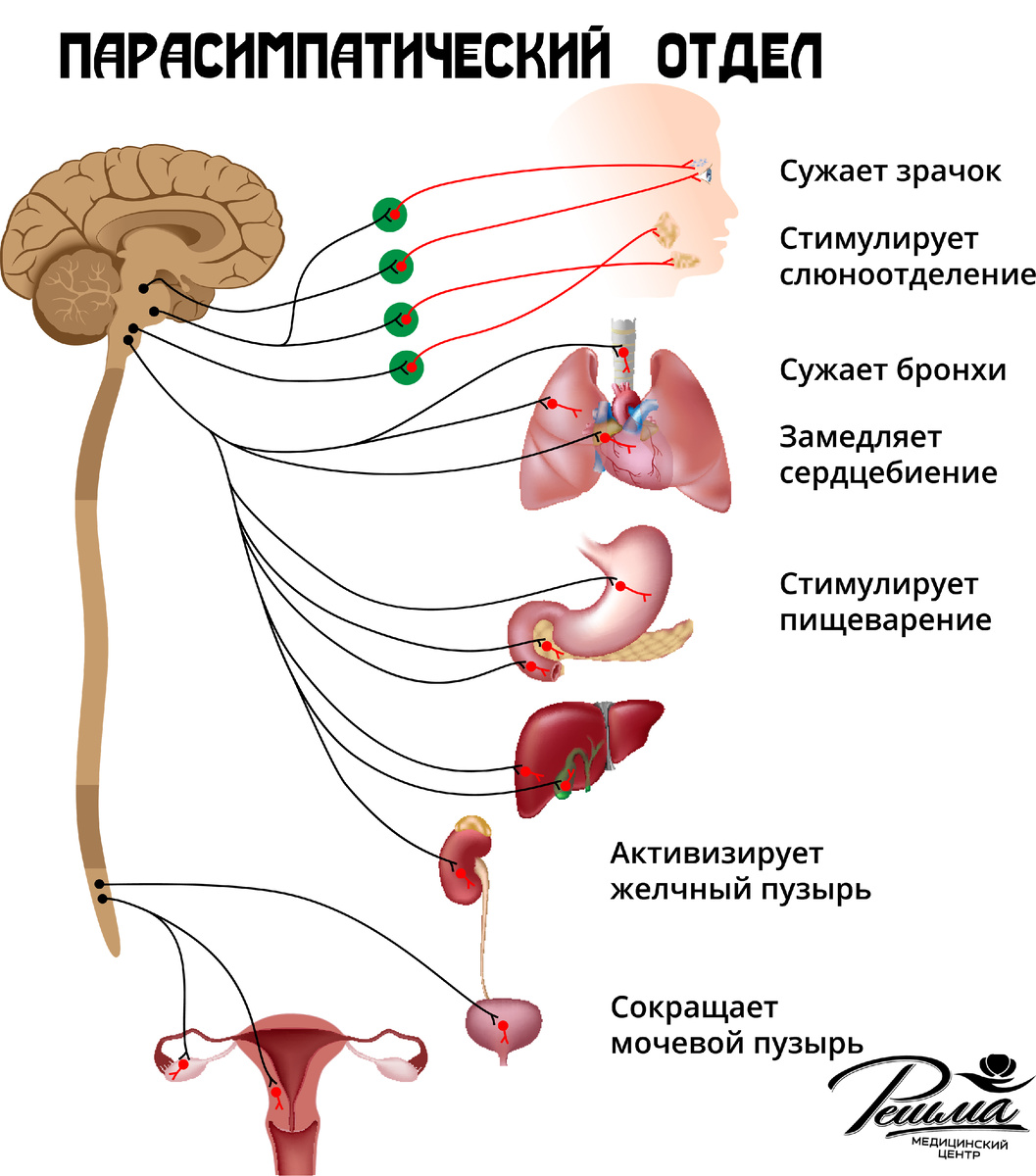 Стенд резной Школьное самоуправление