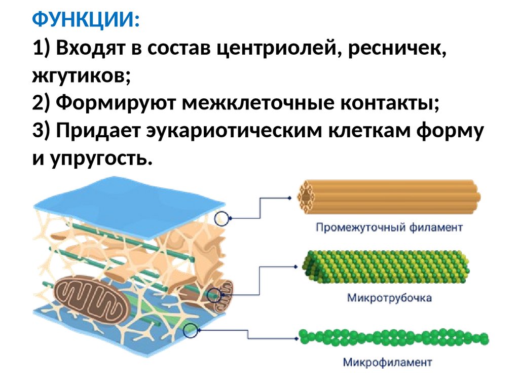 Приложение № 3 к ООП СПО Специальность