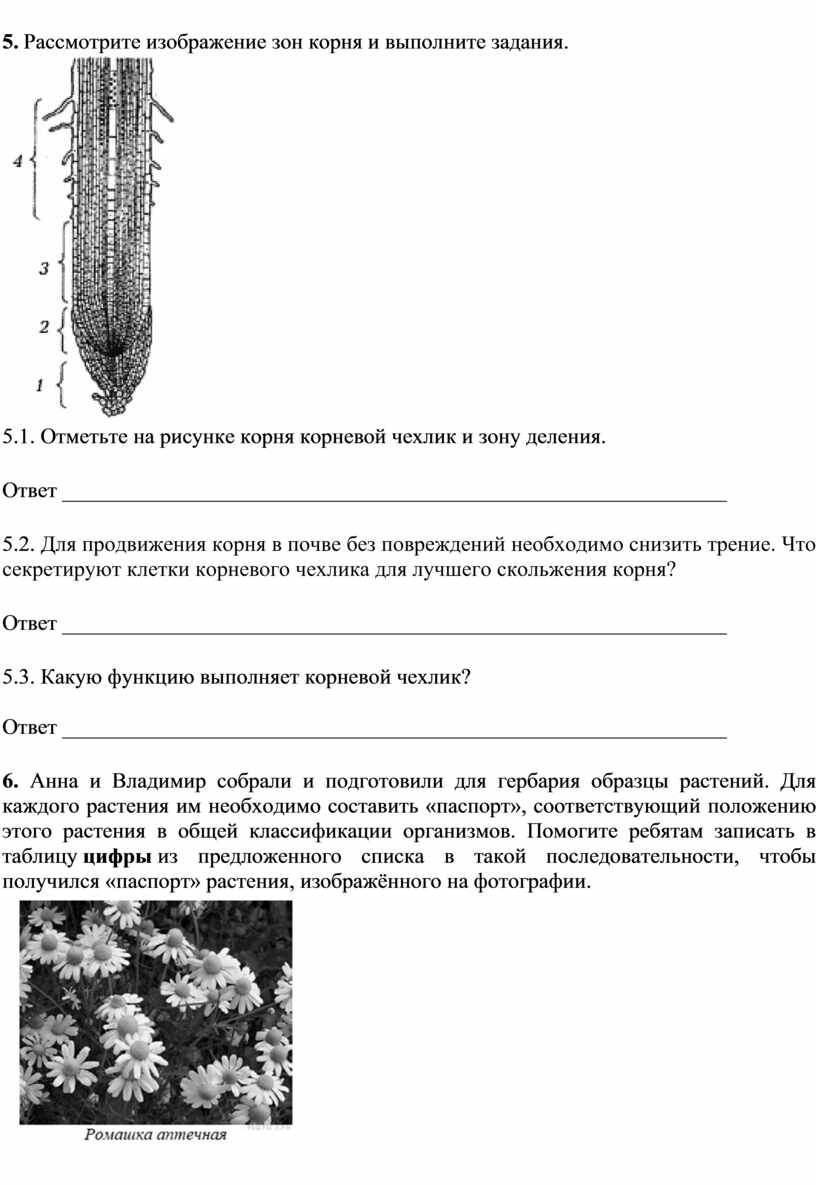 Проверочная работа по биологии по теме