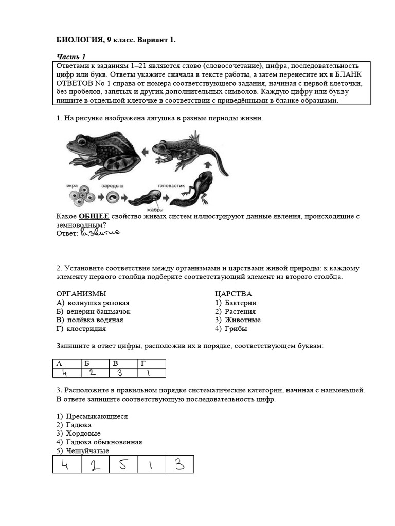 Ткани высших растений.