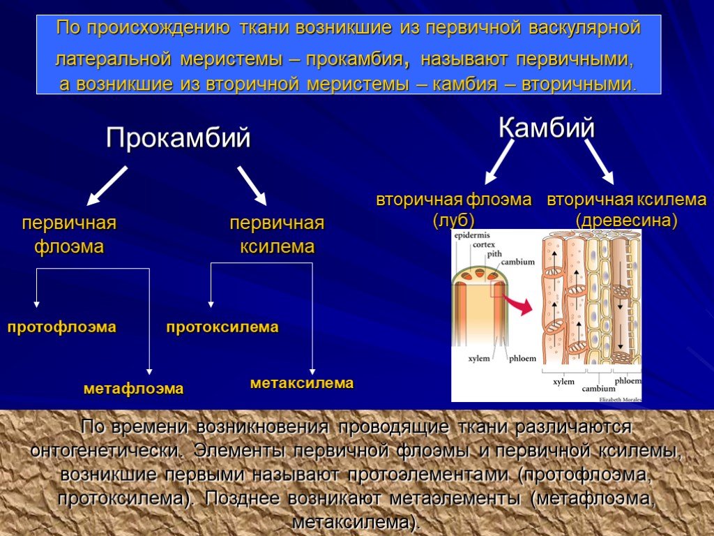 Занятие 5