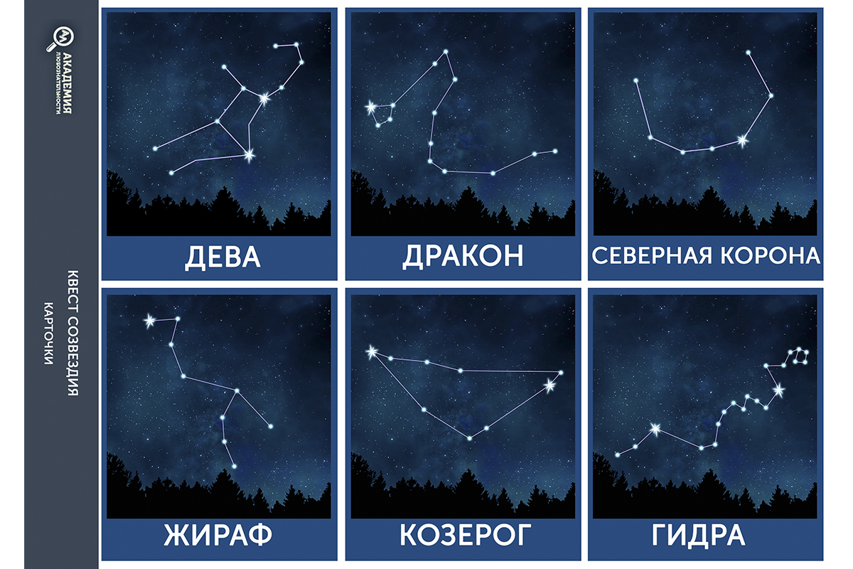 Сахарная картинкаЛев для торта мужу, папе Sdtort 214462962