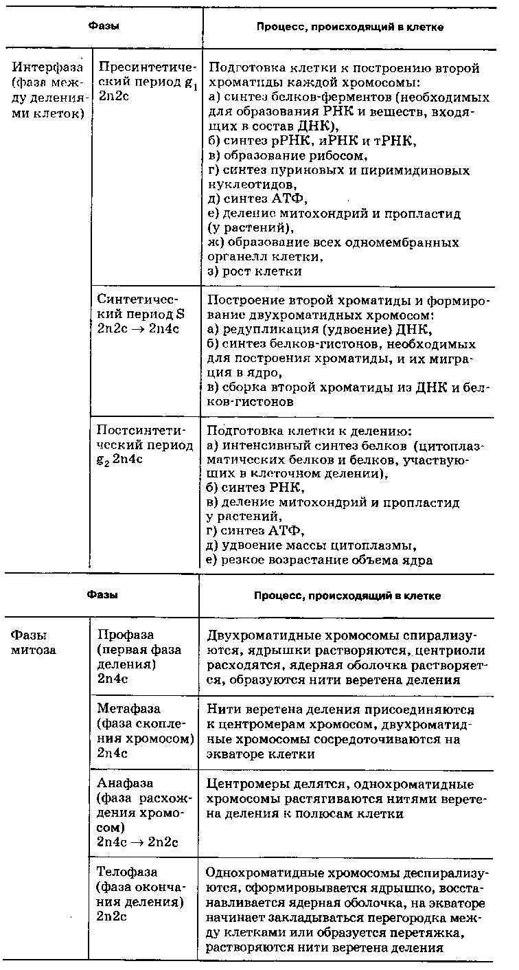 Все задания с картинками