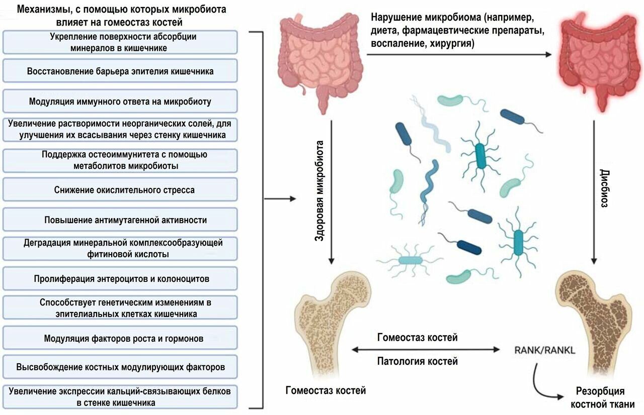 Ликбез по ЦНС