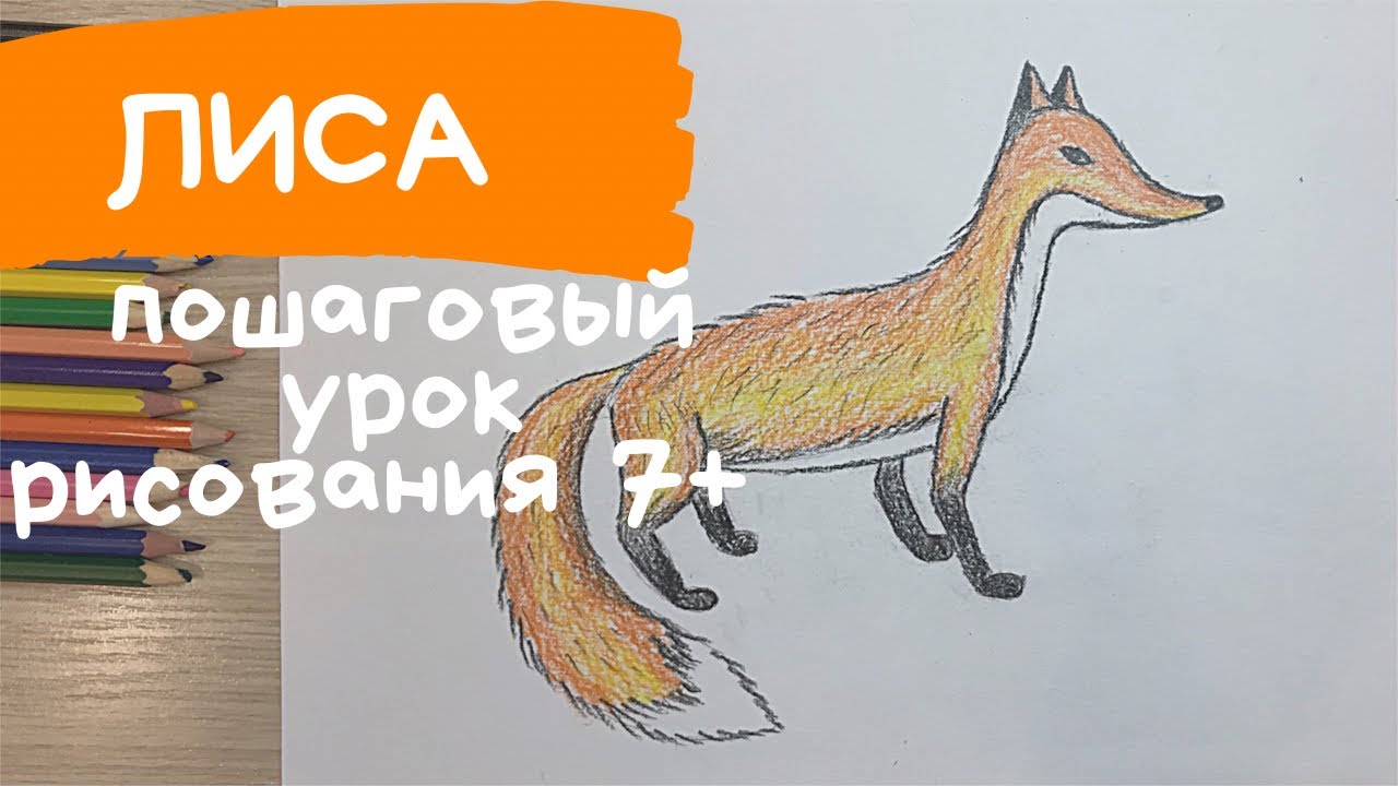 Рисунок лисы для срисовки