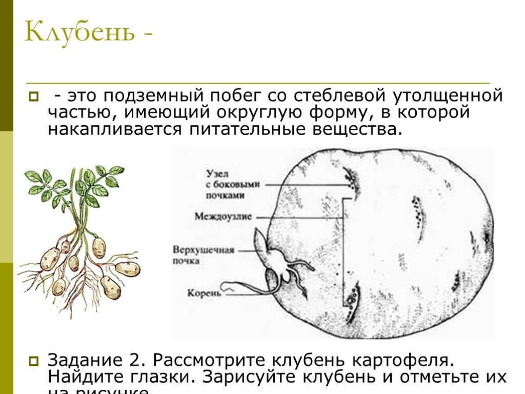 Мультисенсорный музей: междисциплинарный взгляд на осязание