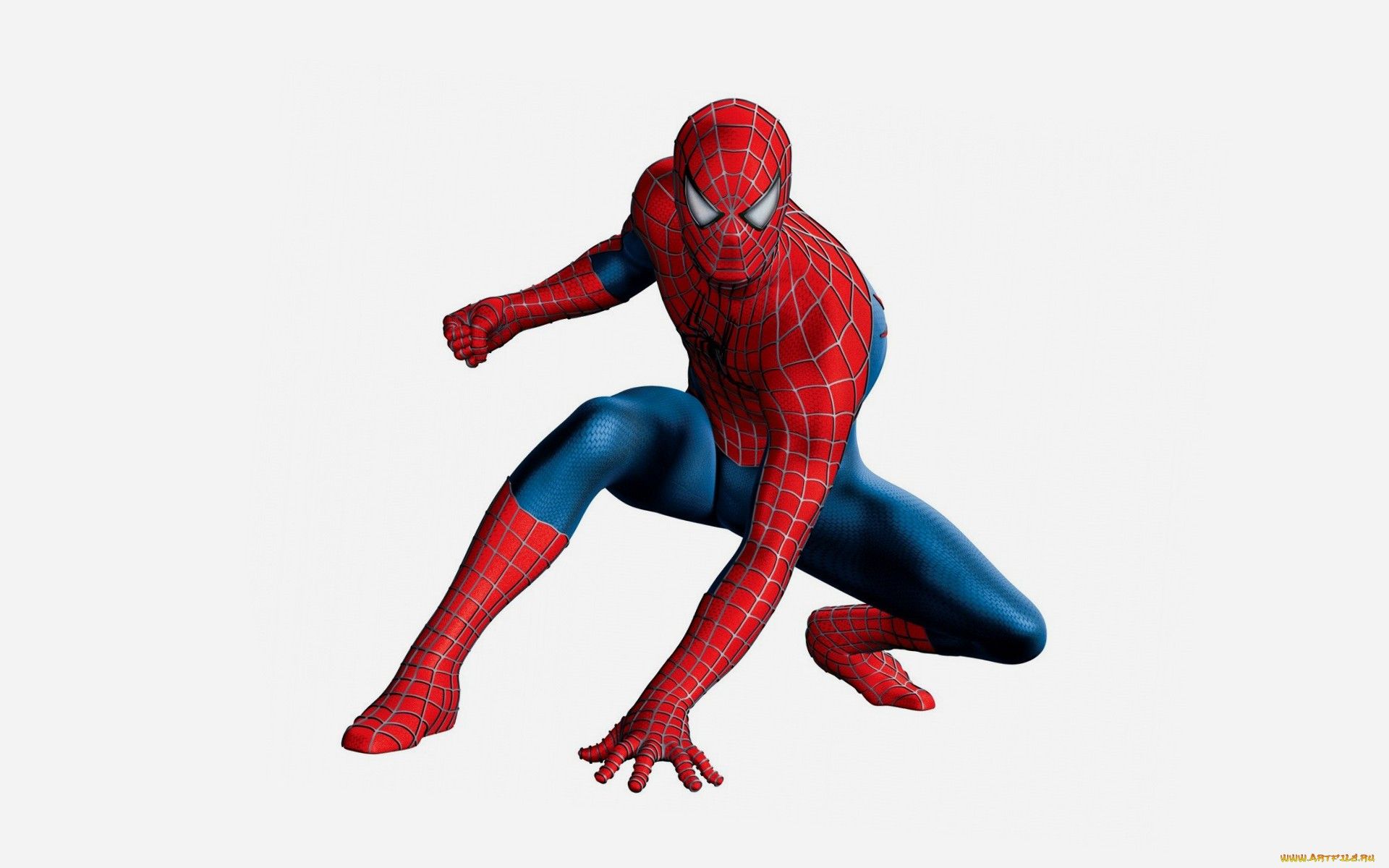 Marvel spider