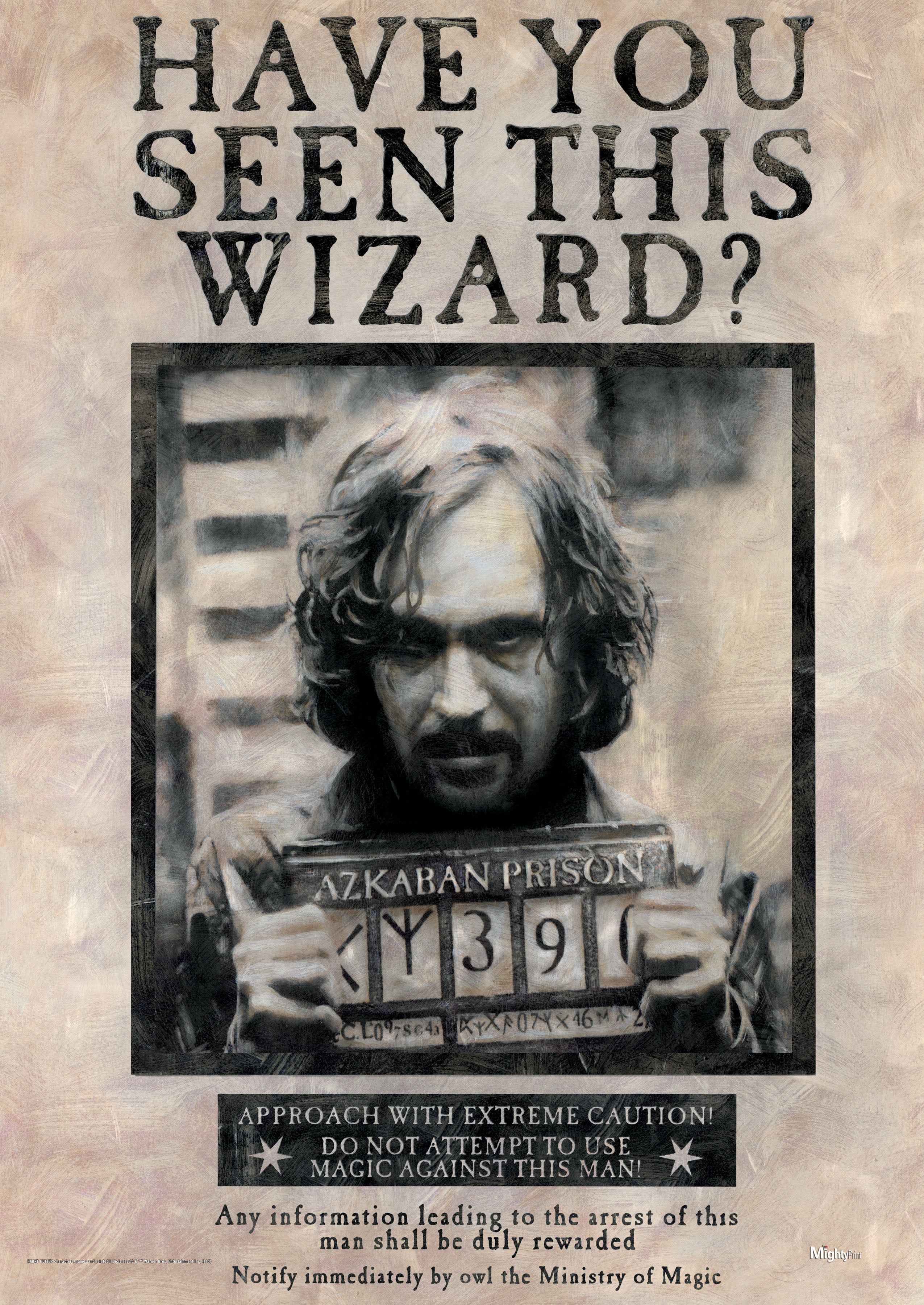 Harry Potter Sirius Black Prisoner of Azkaban Portrait