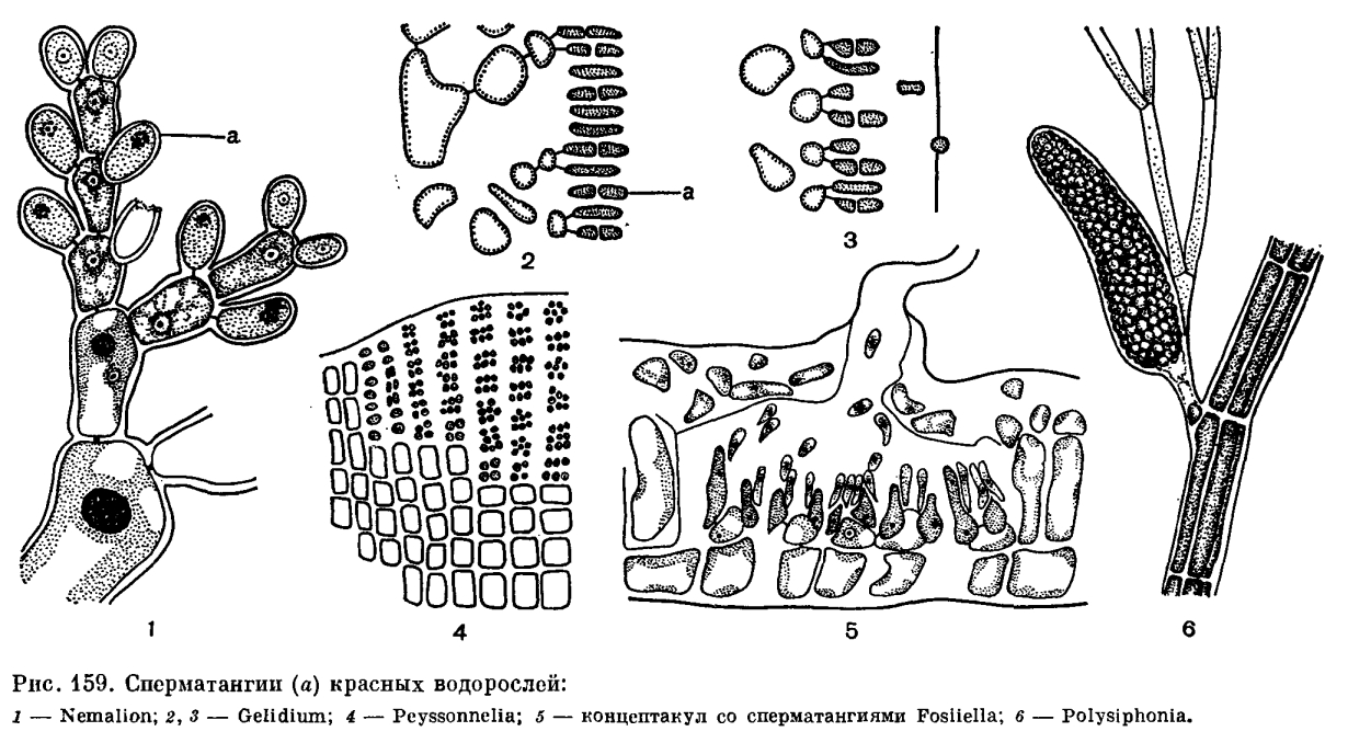 Экологический мониторинг и экологическая экспертиза