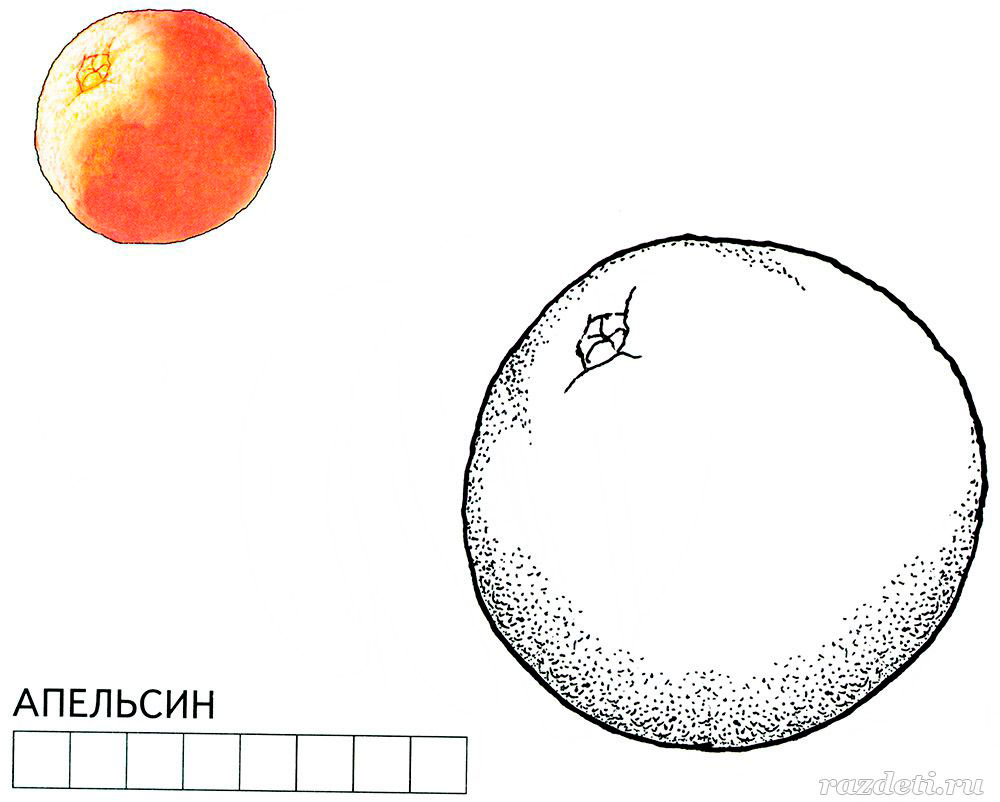 Раскраска мультфильм апельсин 1