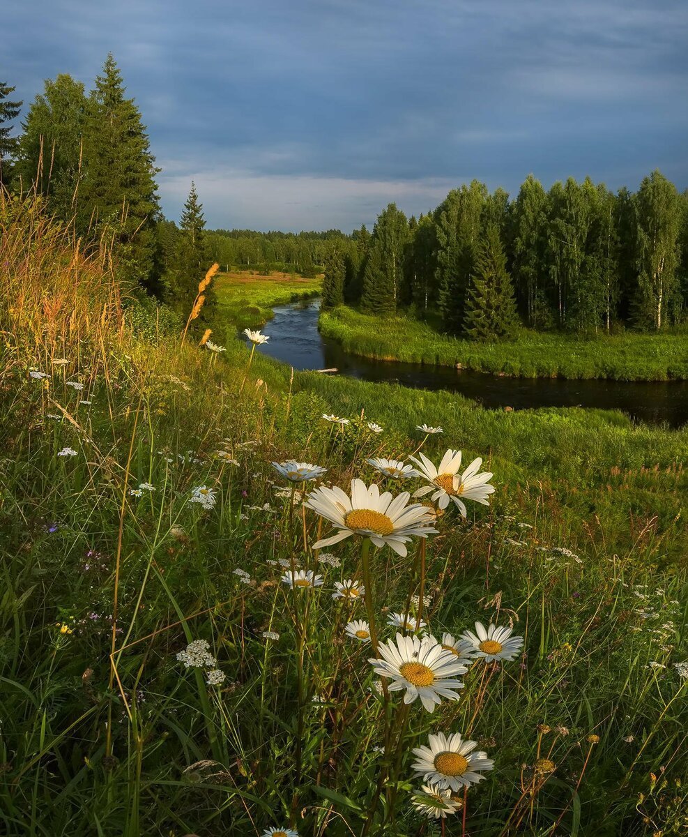 Картина на стену русская природа пейзаж