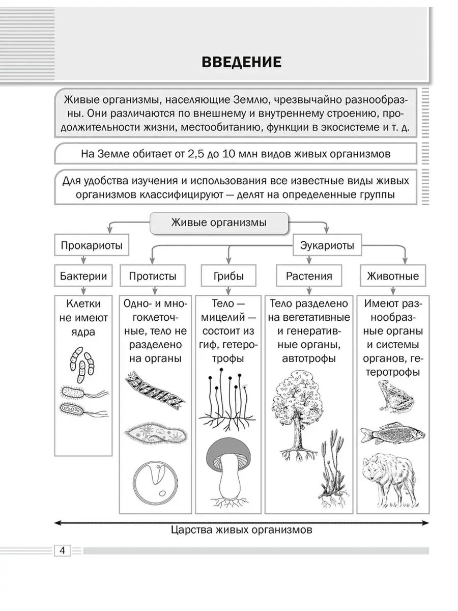 Рисунок на тему бытовой Жанр