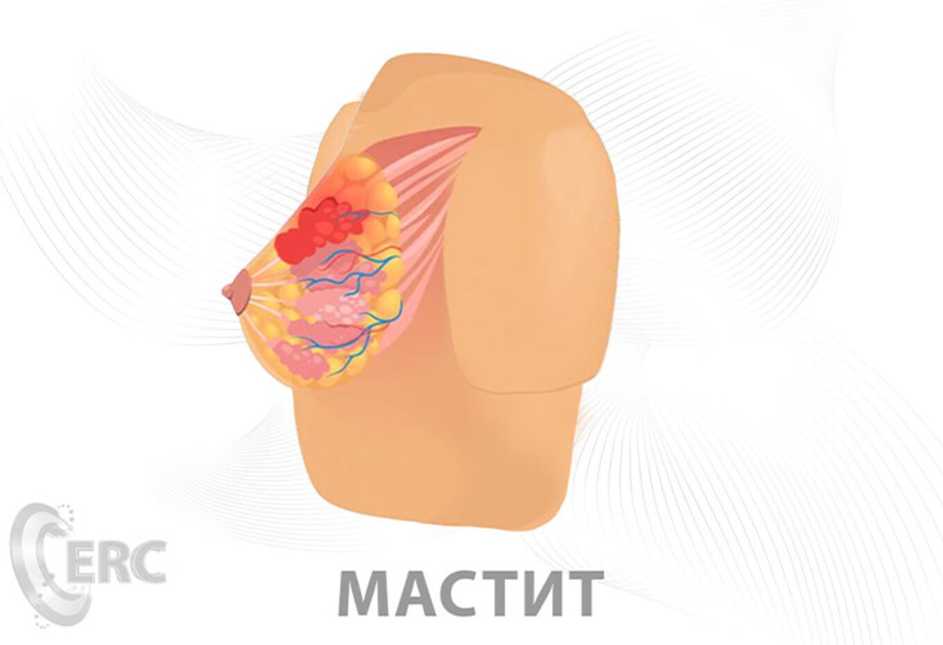 Как нарисовать фигуру и лицо человека