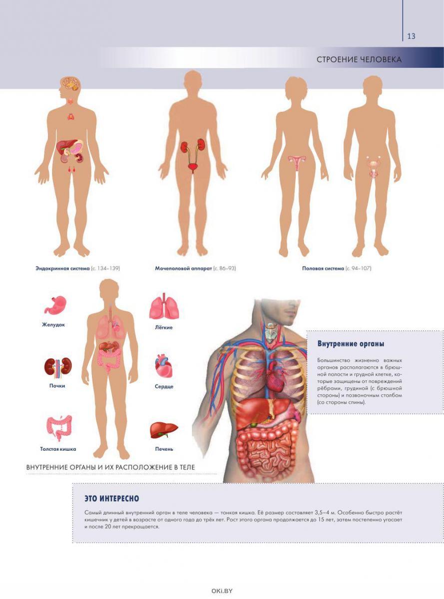 Медицинский атлас : Анатомия человека по