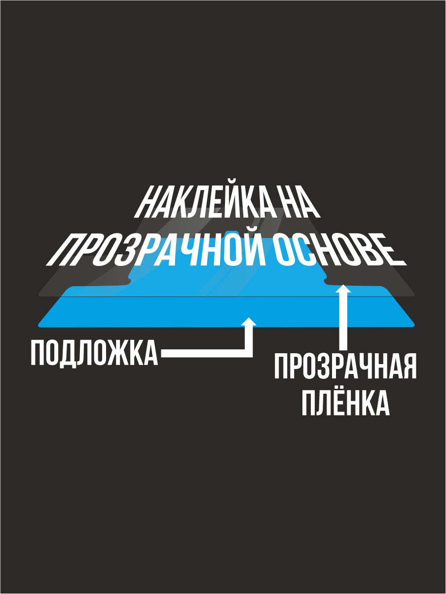 Осел Бременские на OZON по низкой цене в Беларуси