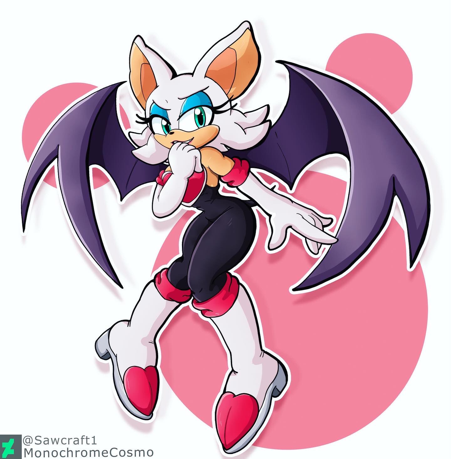 SONIC 3 ROUGE by