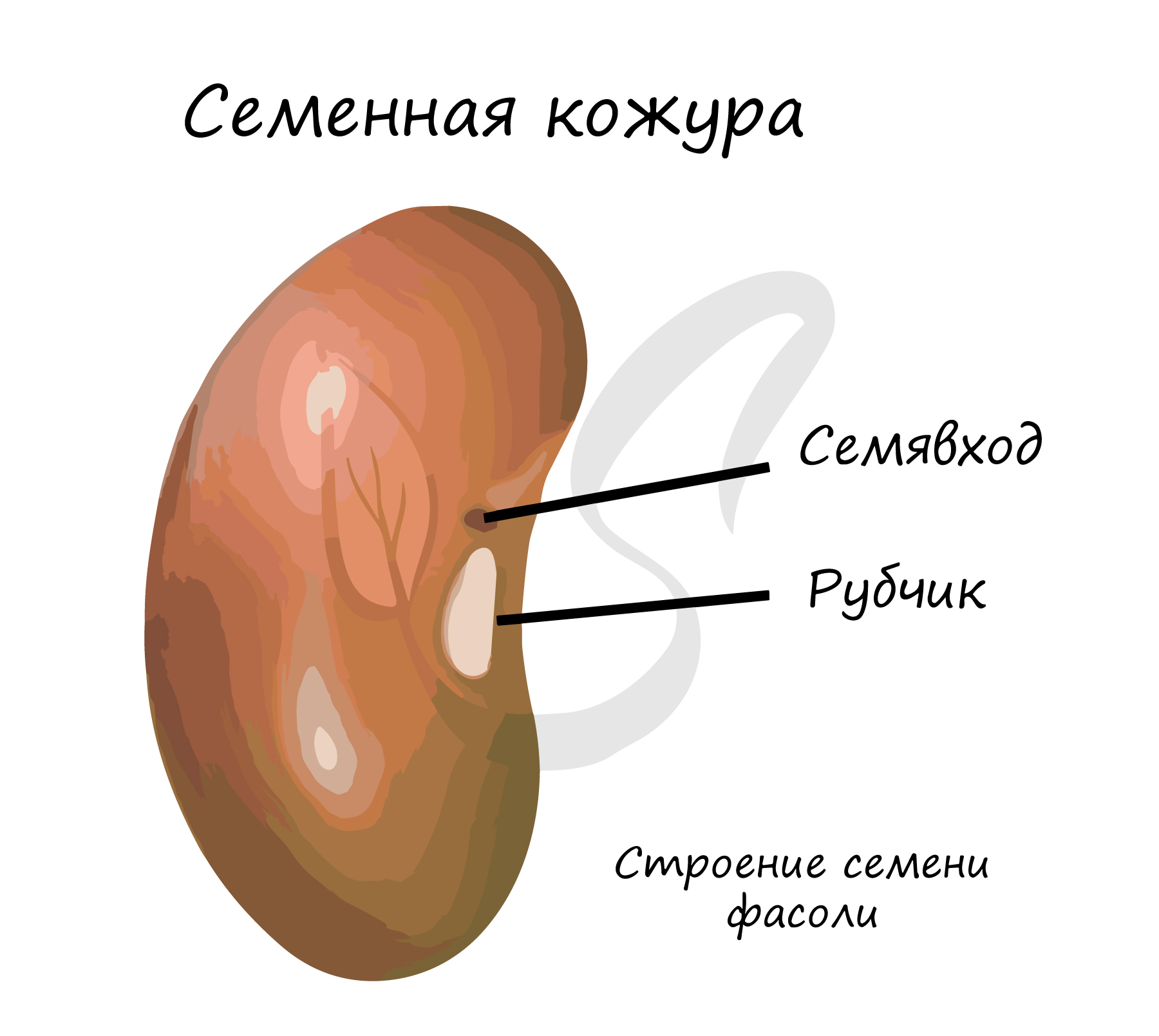 Вопросы для самоконтроля и подготовки к коллоквиуму и зачету