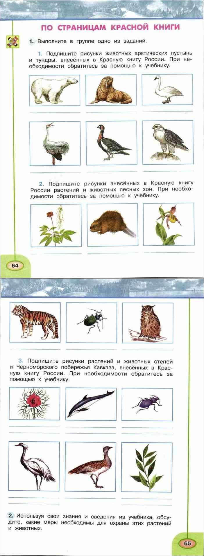 Книга: Здравствуй, мир! Пособие для дошкольников. В 4