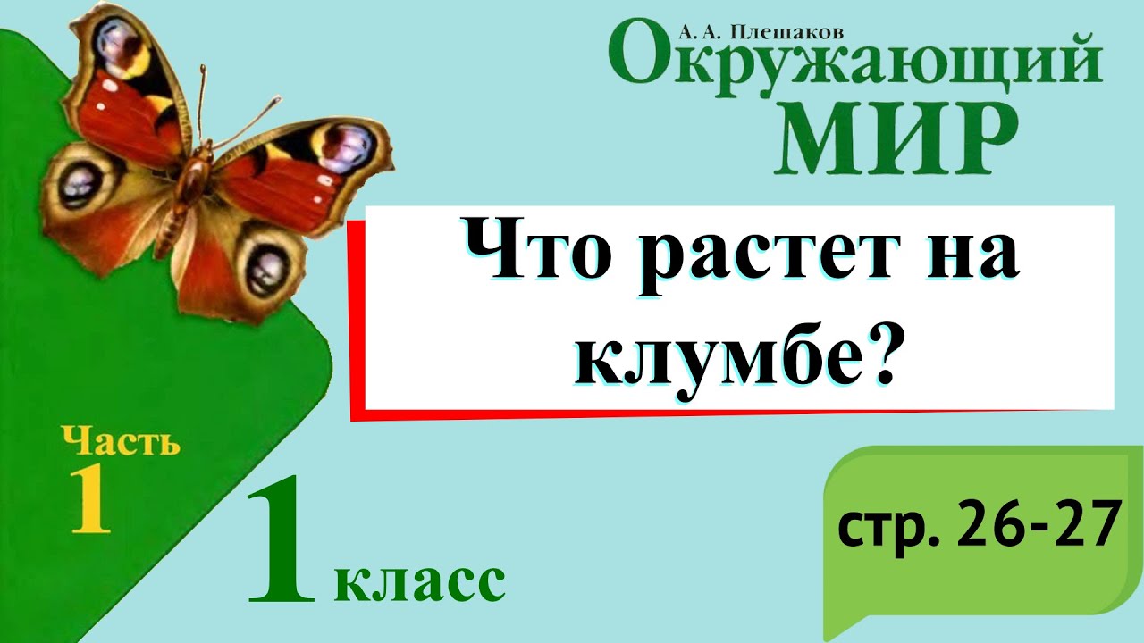 Презентация Что растет на клумбе? по окружающему