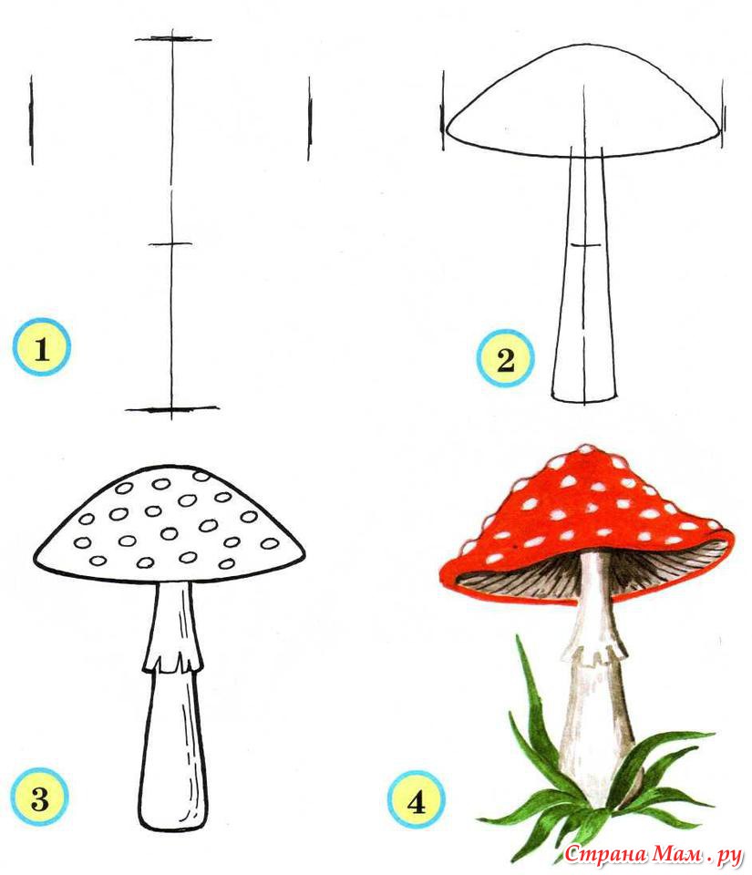 Мухомор раскраска для детей