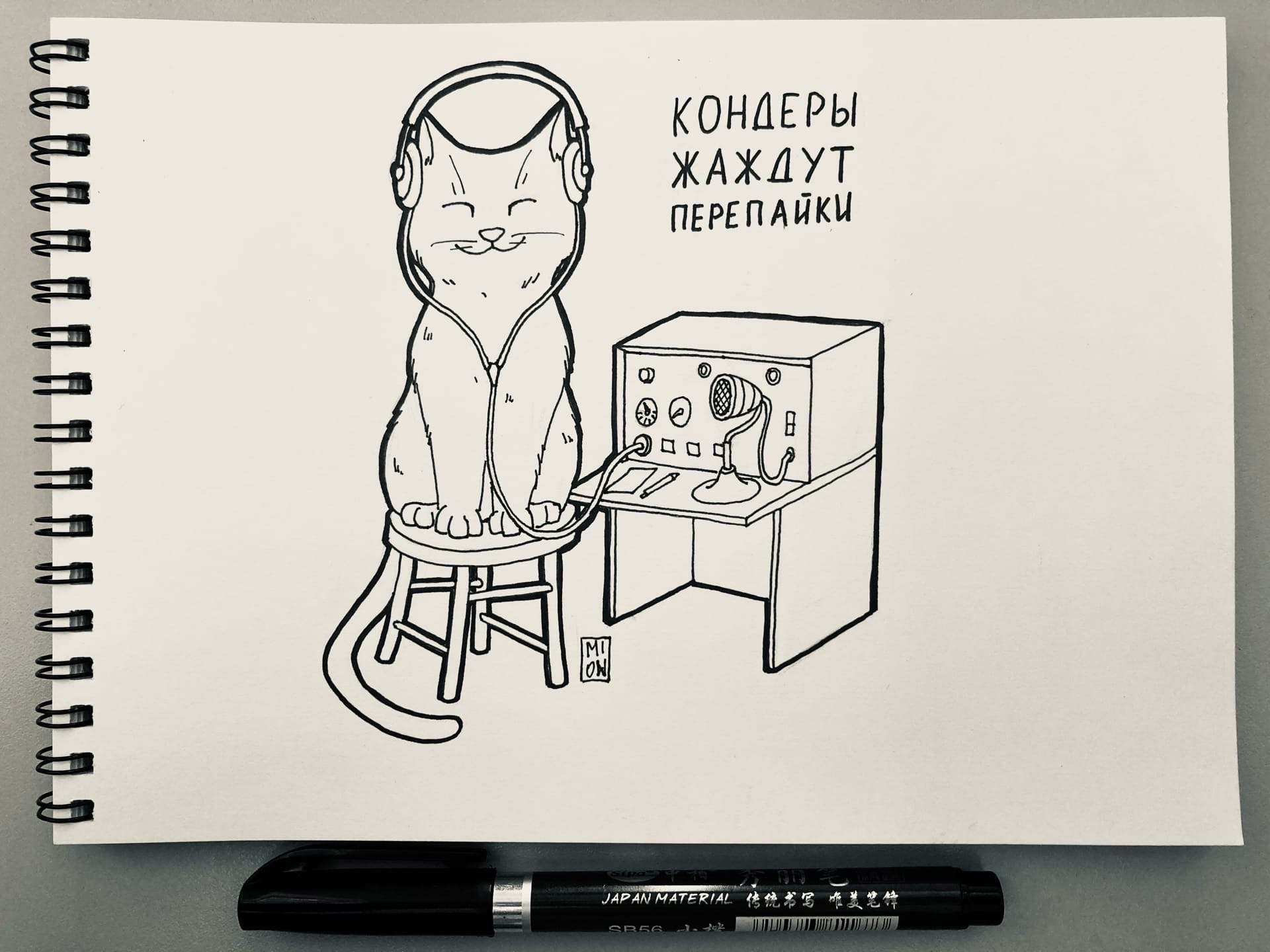 Морда кота рисунок