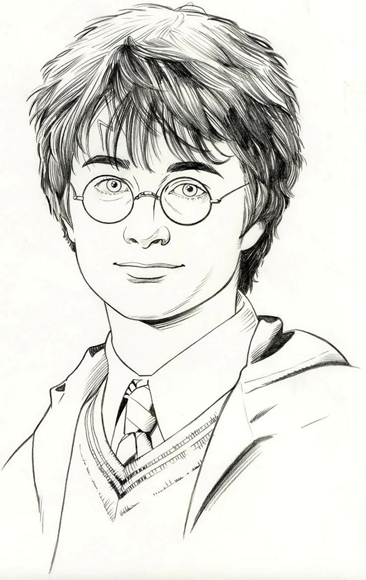 Арт «Harry Potter: Portraits» » Хогс