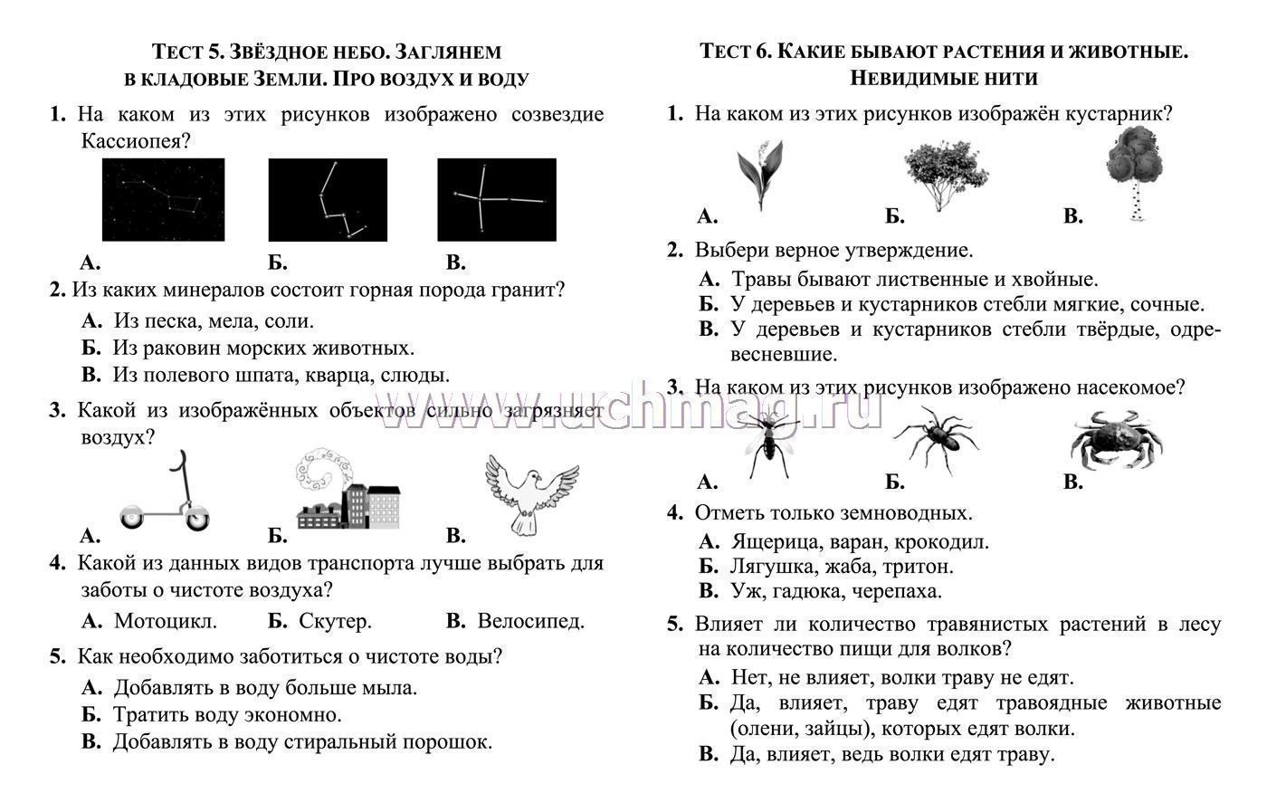 Созвездие Рыбы