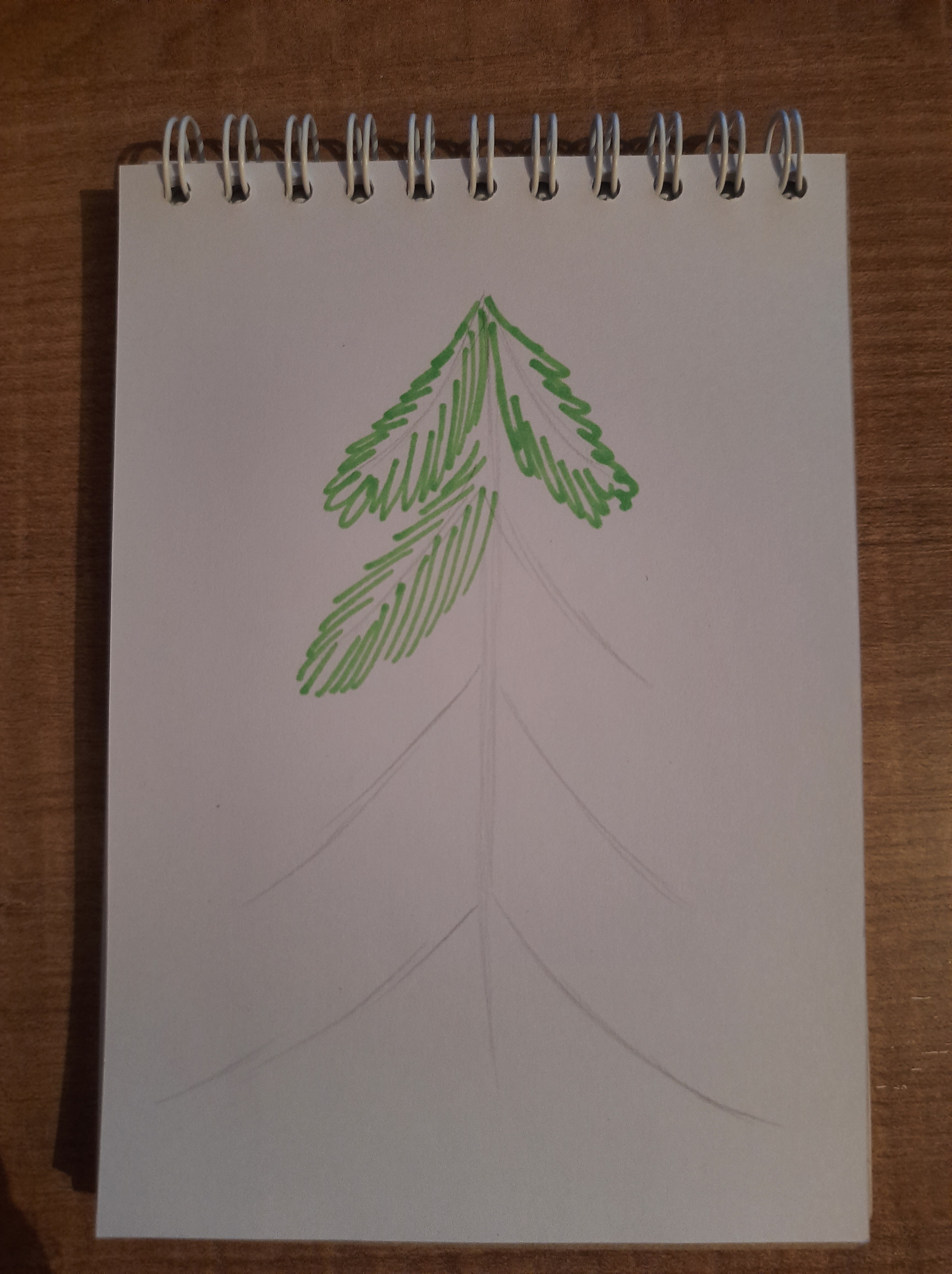 How to Draw a Christmas Tree step by