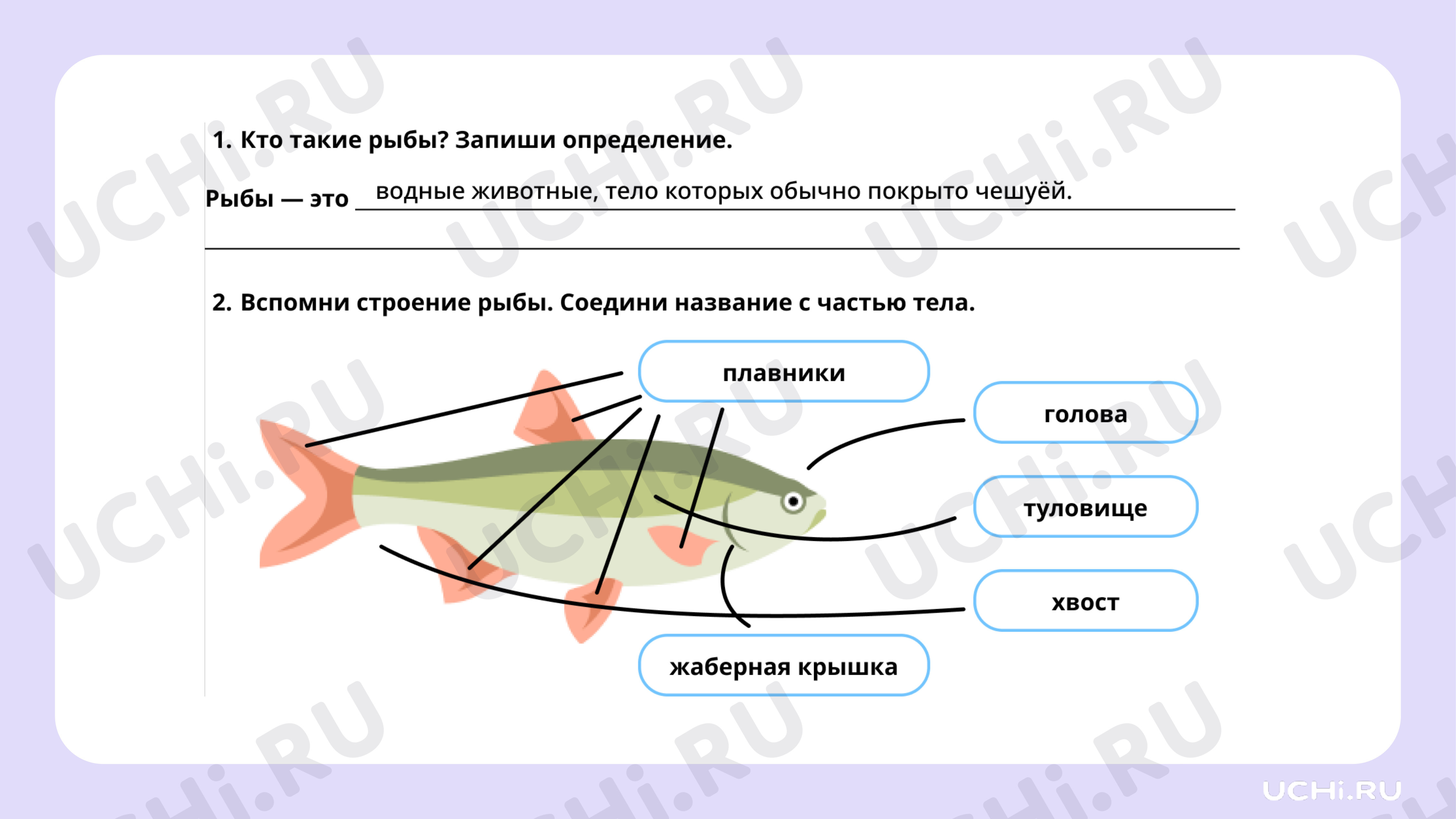 определитель рыб