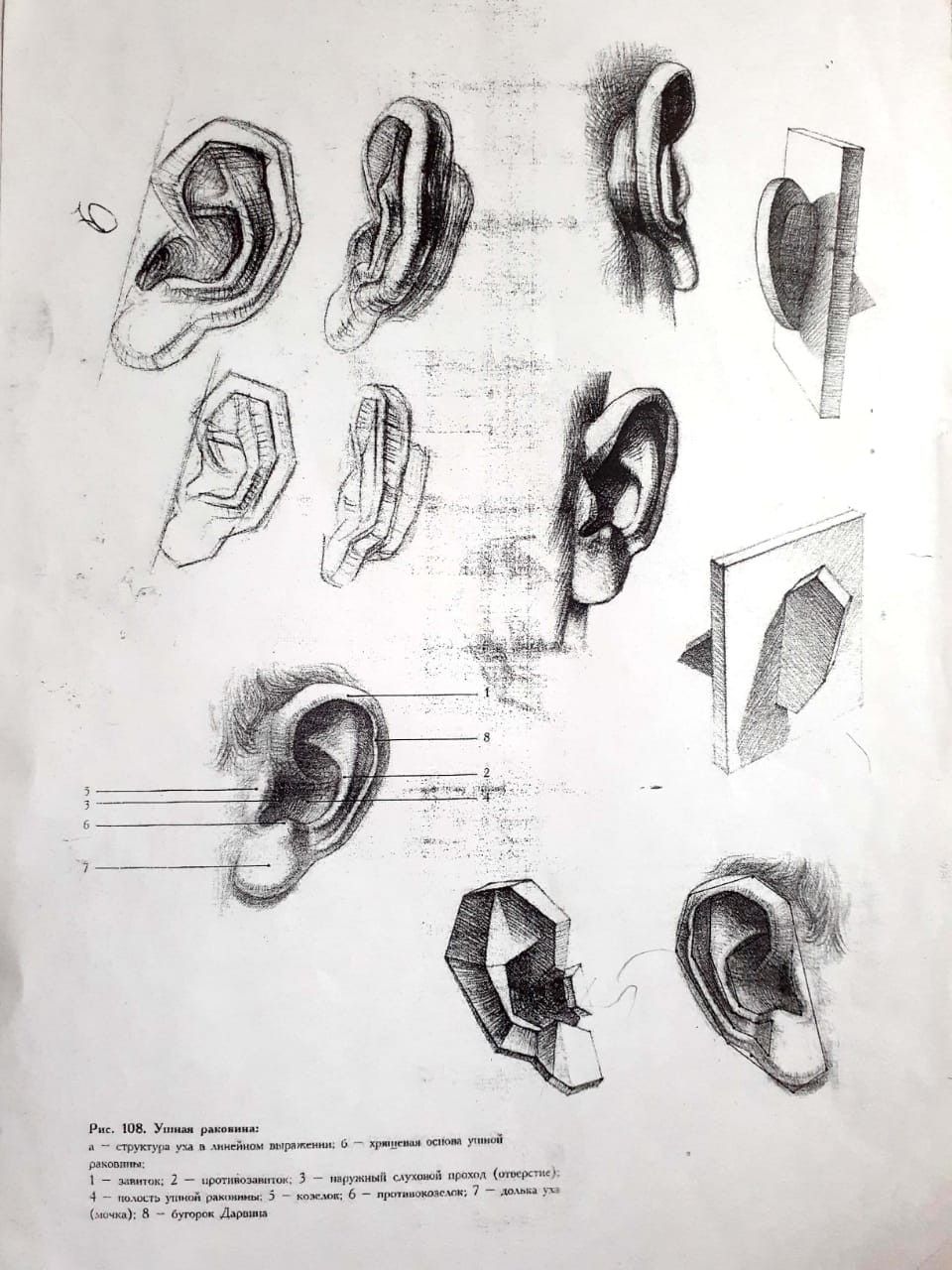 Идеи для срисовки уха легкие 