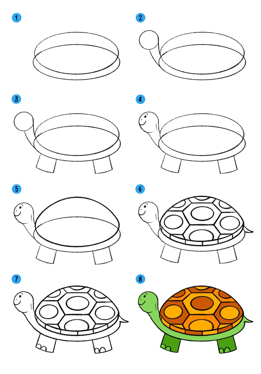 Раскраска Черепаха Скачать И Распечатать