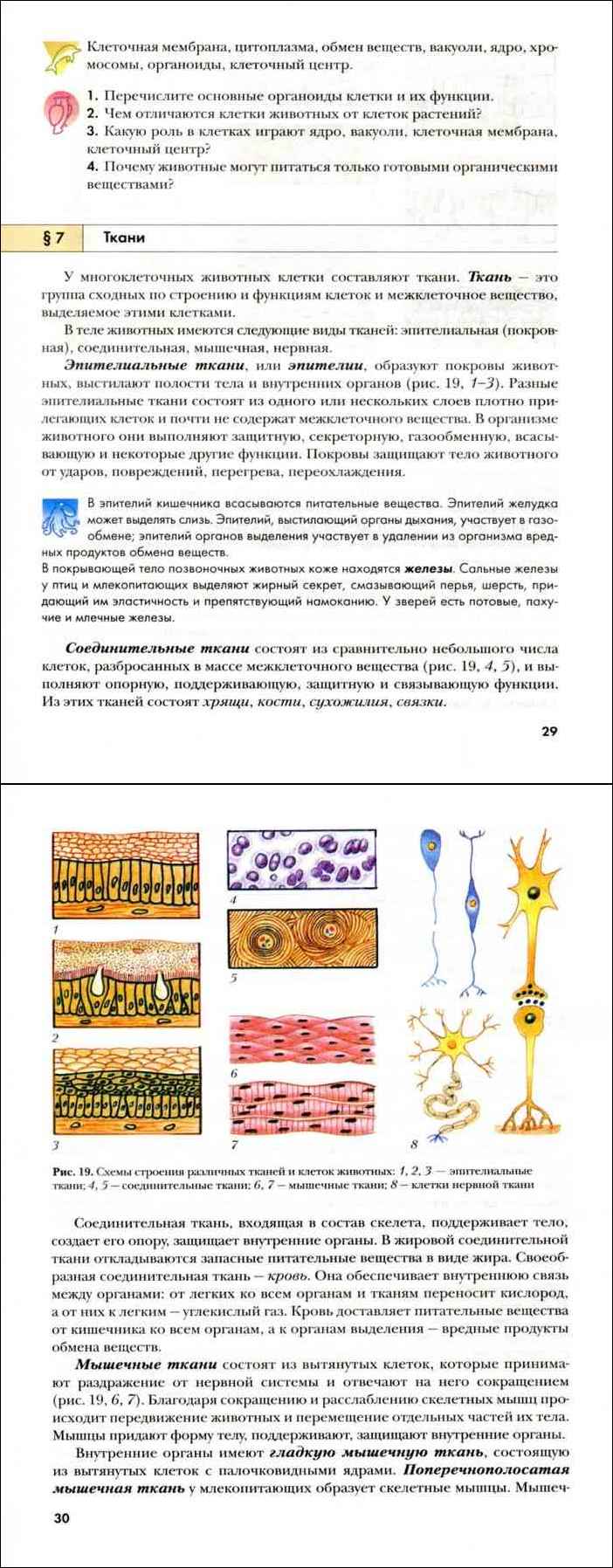 Читать Биология 8 класс Рабочая тетрадь