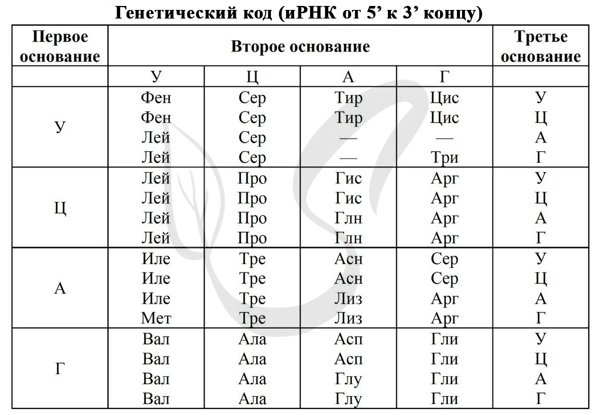 Рассмотрите изображения различных объектов живой природы