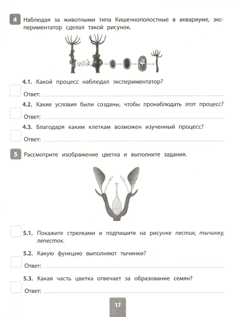 Пасечник. Биология. 6 класс. Рабочая тетрадь. Базовый уровень