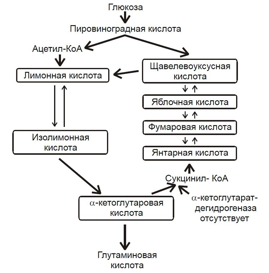 ХЕЛП ПЛИЗ СРОЧНО ПРЯМ КАПЕЦ НАДО