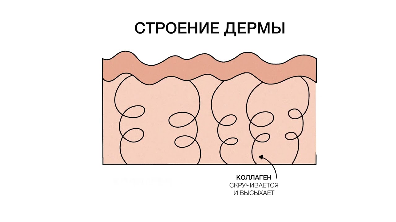 Как нарисовать человека карандашом